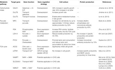 Advances of Glycometabolism Engineering in Chinese Hamster Ovary Cells